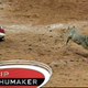Illustration for article titled Skip Schumaker's New Baseball Card Features The Rally Squirrel